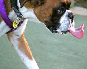 10551033_683596241728425_297137429613025875_n