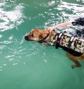 10592950_10152334849148317_338218557600371576_n