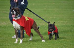 10616404_10152744310382652_2553356192245478977_n