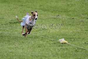 Bronte Dress Aug 2014