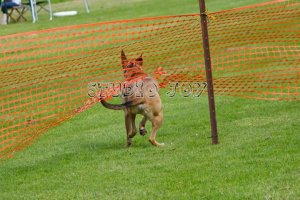 Brutus fence breaker