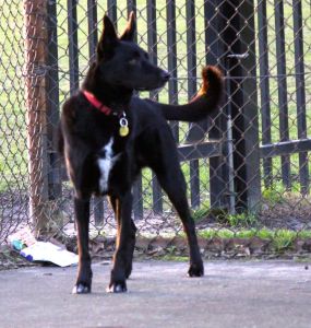 10835032_746995708721811_5435806483139839060_o