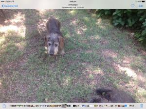 11014733_10206109349958924_164627571_n