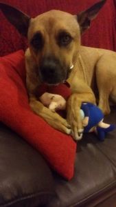 11054375_10152714712828317_7730541624758595776_n