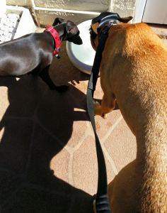 10407909_10152811819038317_9064357064922809190_n