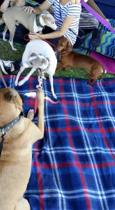 11065898_10152780095983317_4961539582172621579_n