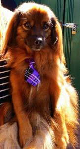 11096433_10152811819433317_9032761375785145492_n