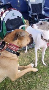 11107735_10152780219063317_6938734160774915211_n