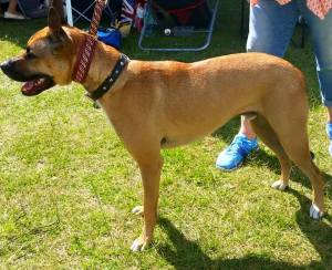 11129350_10152780217533317_1478480799006317683_n