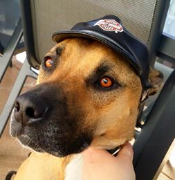 11150256_10152811815318317_8060699462263428301_n