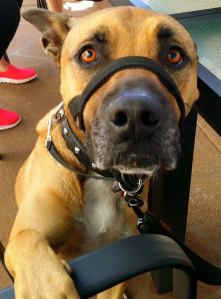 11150865_10152811815538317_5816555307085083423_n