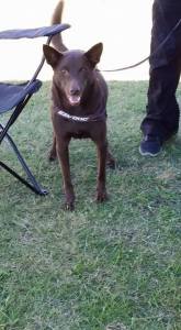 18489_10152780096273317_2704418740714725084_n