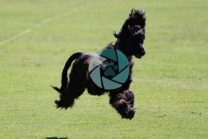 644434_1633568180205662_383941116012881424_n