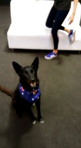 11018112_10152879323828317_2522118648239204368_n