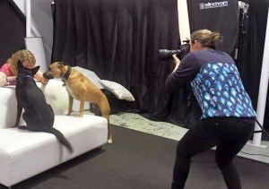 11377131_10152879534233317_8555917031527621168_n