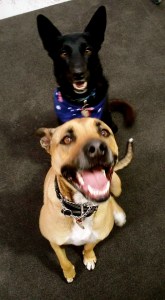 13277_10152879323648317_6878117381426116731_n