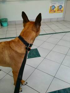 11873353_10153074559723317_1257505242758641125_n