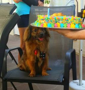 12032964_10153178934998317_4054275767399738256_n