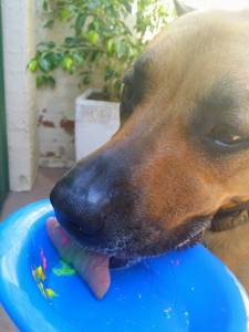 12140578_10153178934543317_8150569174401878379_n