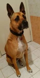 11251767_10153227879133317_8772442562849242960_n